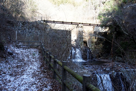 _DSC2019.JPG