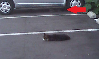 20120829081446.jpg