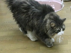 IMG_5716-12.jpg