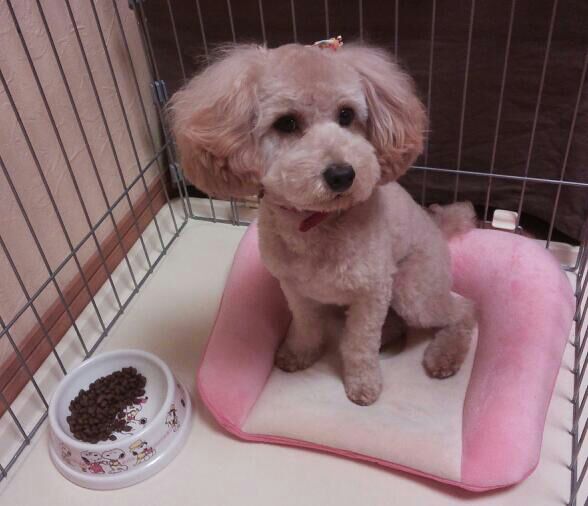 rblog-20140905225649-02.jpg