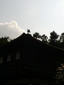 鳳凰.jpg