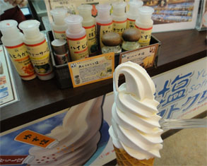 石垣231.jpg
