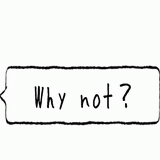 Why not？.gif