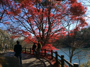 aizu32.JPG