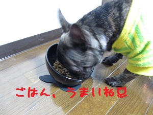 IMG_0609.jpg