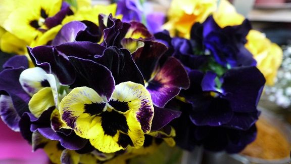 雨 花屋な日々 楽天ブログ