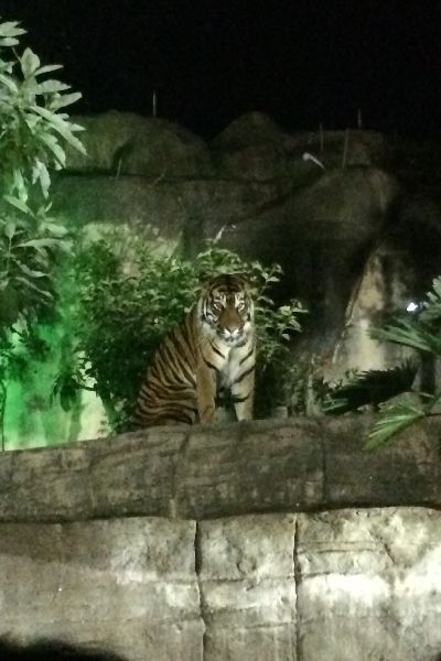 写真.jpg