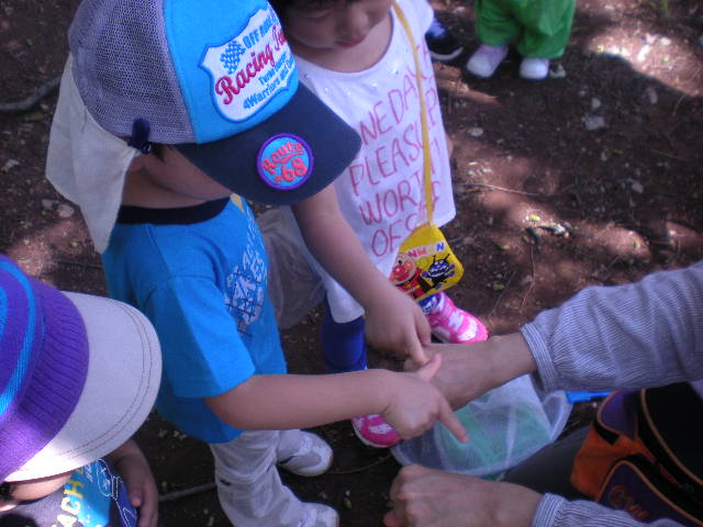 DSCN0919.JPG