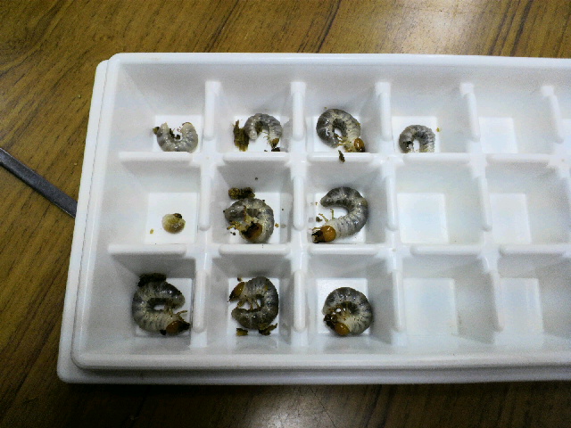 2015081614060001.jpg
