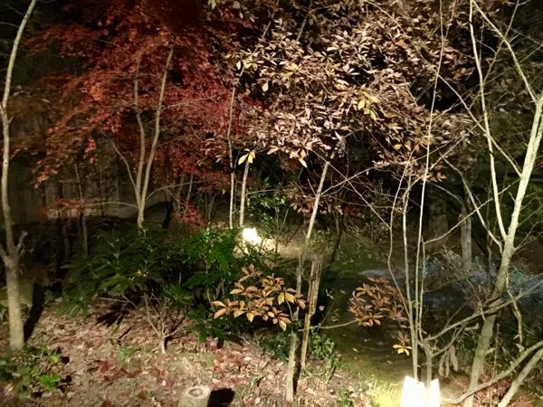 rblog-20161211231330-08.jpg