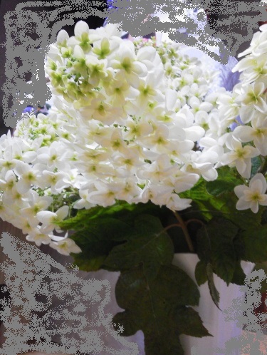 showPhotoPU7B5XDC.jpg