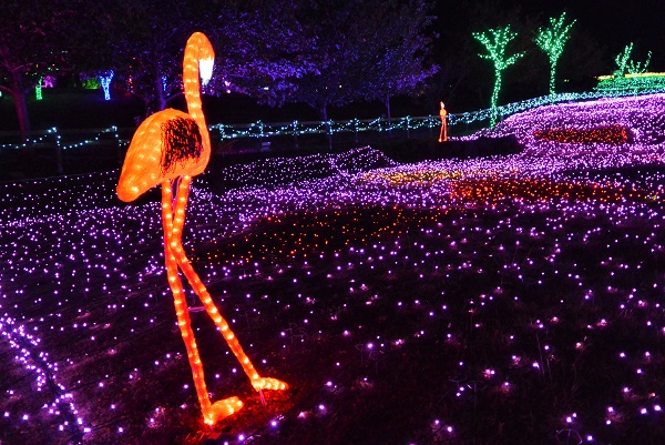 ぐらんぱる公園