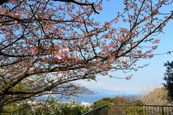 佛現寺