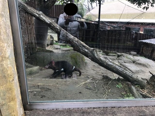 広大な多摩動物公園で濃厚なデート Same Hana 楽天ブログ