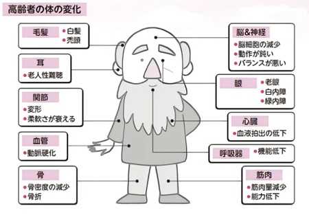 体の老化 3･3 | Shimojimのブログ - 楽天ブログ