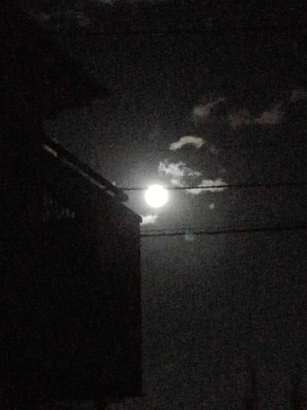 rblog-20180103024638-03.jpg