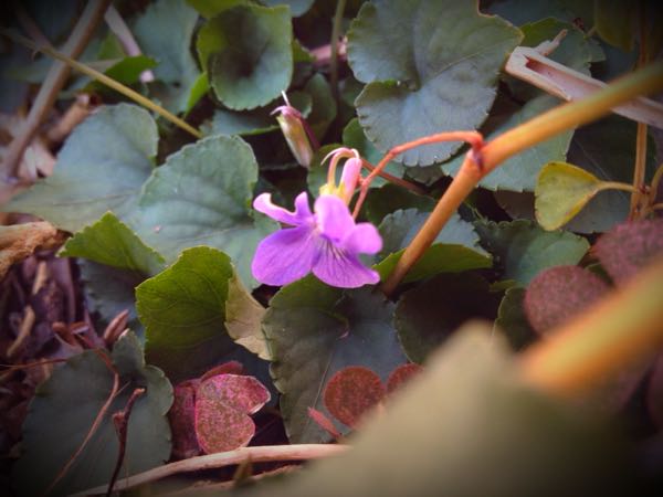rblog-20141231140627-02.jpg