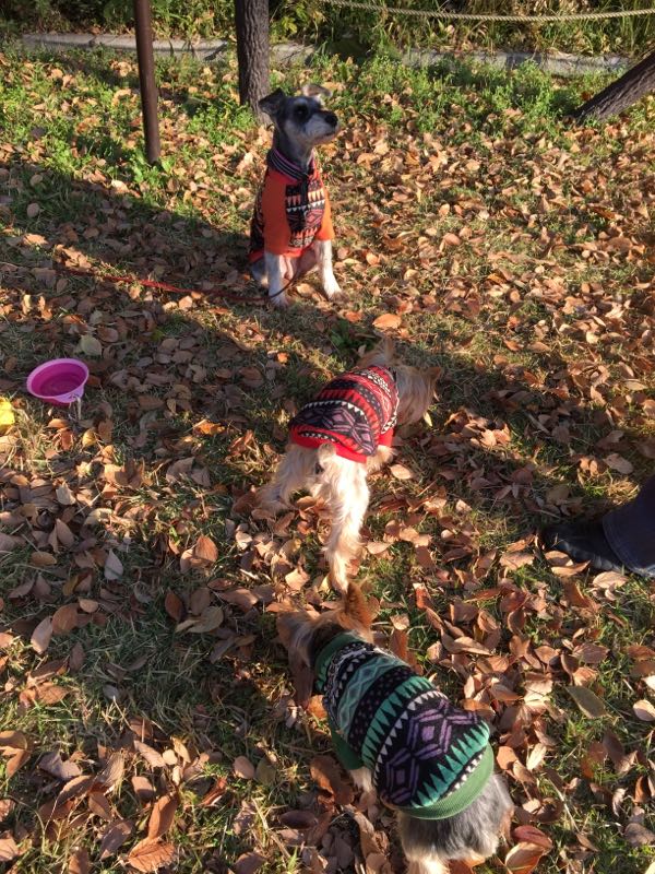 rblog-20141119014047-03.jpg
