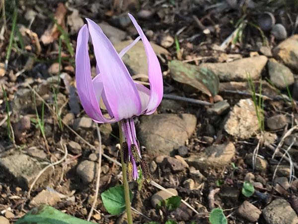 rblog-20190320171145-07.jpg