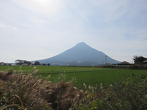 IMG_5468.jpg