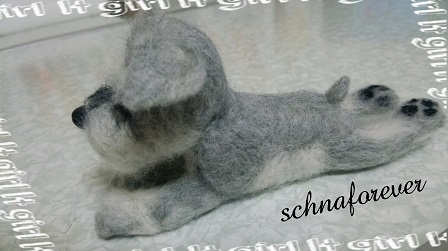 シュナa1.jpg
