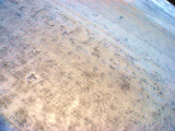 DSC07803.jpg