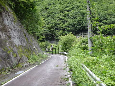 DSC09442.JPG