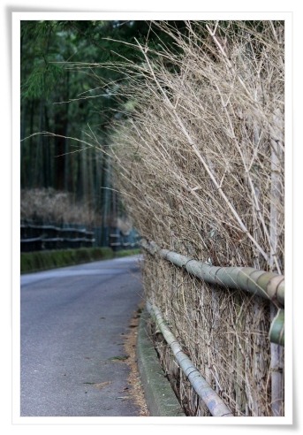 平栗-15 小柴垣-1 13.3.31