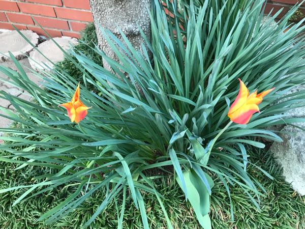 rblog-20180408182540-00.jpg