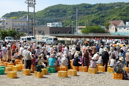 s-DSC_0155.jpg
