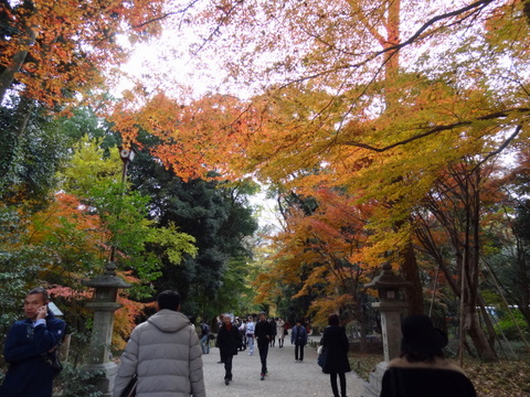 2012120104