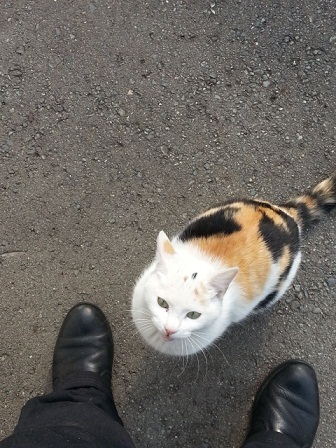 20130309_152658.jpg