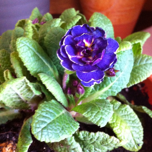 rblog-20130305182958-03.jpg