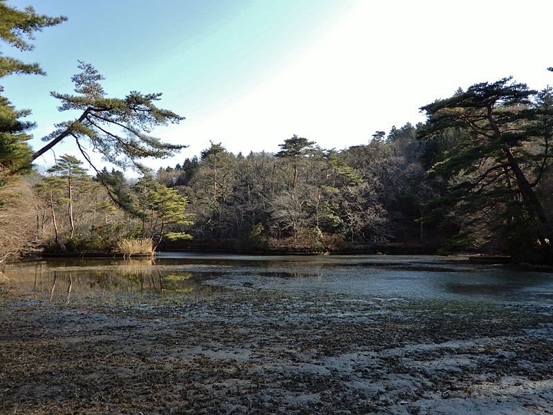 長谷池1