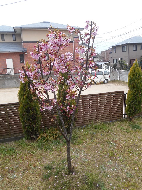 DSCN1738.JPG