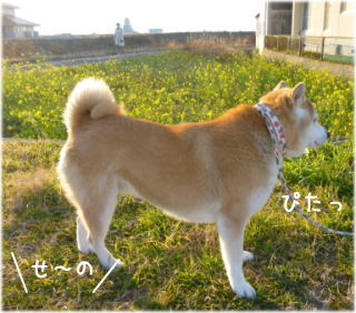 0112夕3.jpg