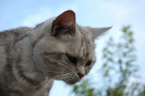 DSC_0774.JPG