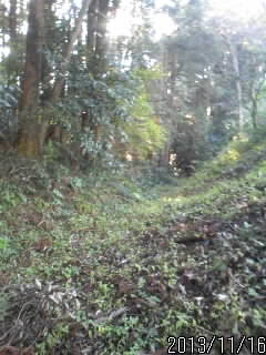 佐久山城の堀１