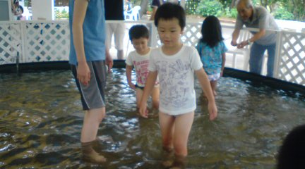 20120728122907.jpg