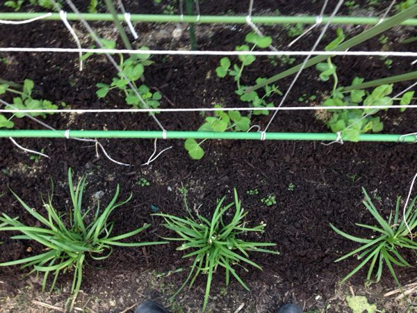 rblog-20140402013740-01.jpg