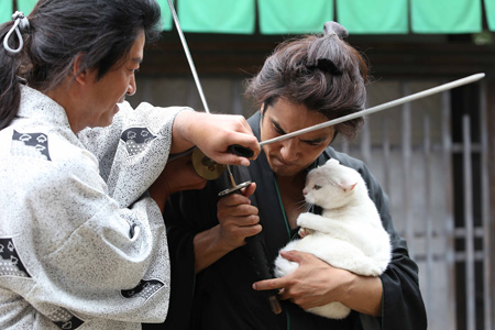 猫侍