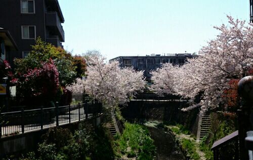 rblog-20170413215440-02.jpg
