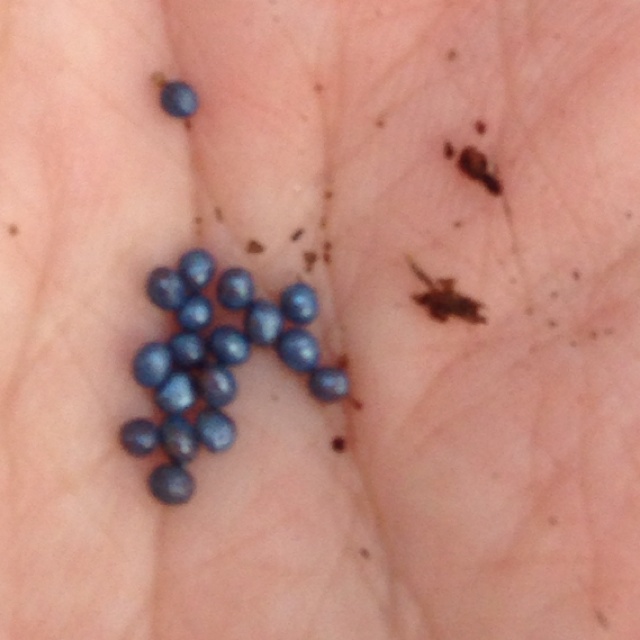 rblog-20131024153906-02.jpg
