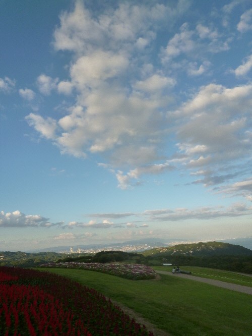 P1130194(1).JPG