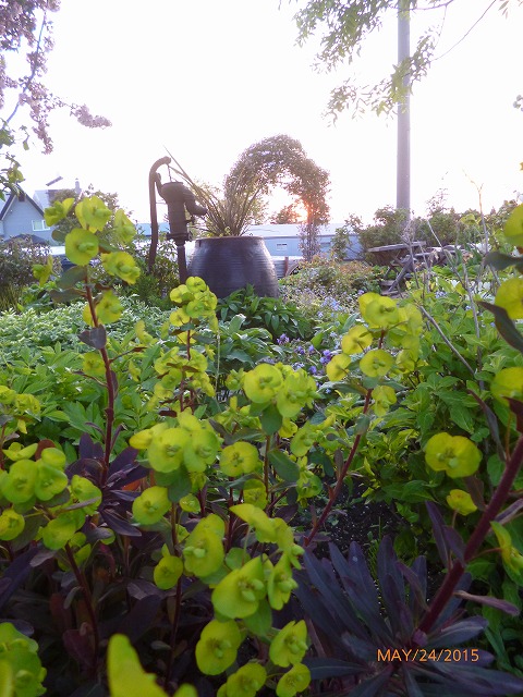 P1090381.jpg