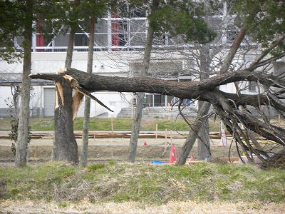 DSCN8079.jpg