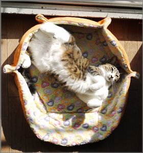 このままではヤバいかも