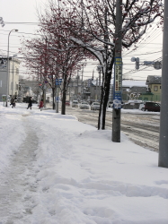 11-14nanakamado (1).JPG