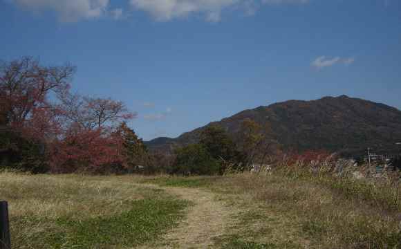 公園の秋２.JPG