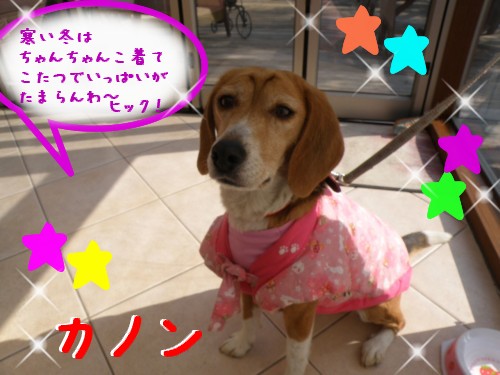 ｶﾉﾝ.JPG
